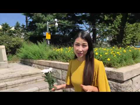 South Korea -  Canada - Kapyoung (2)